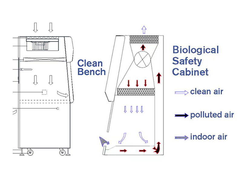Clean Bench VS Biological Safety Cabinet