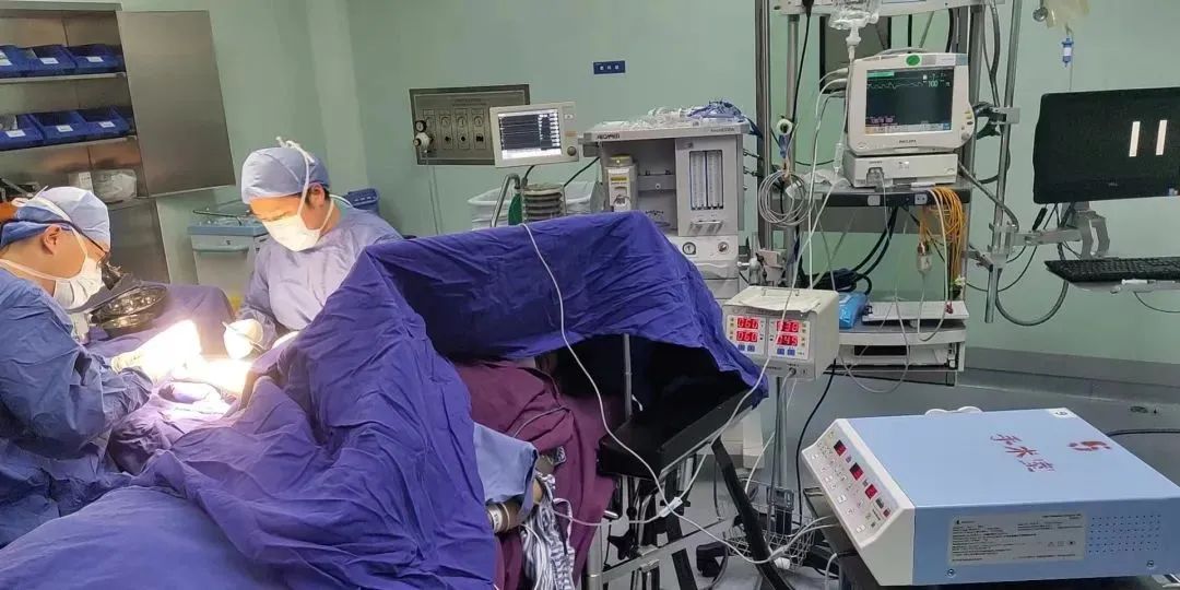 Elevate Your Surgical Precision And Safety with The Heal Force Electrosurgical Family!