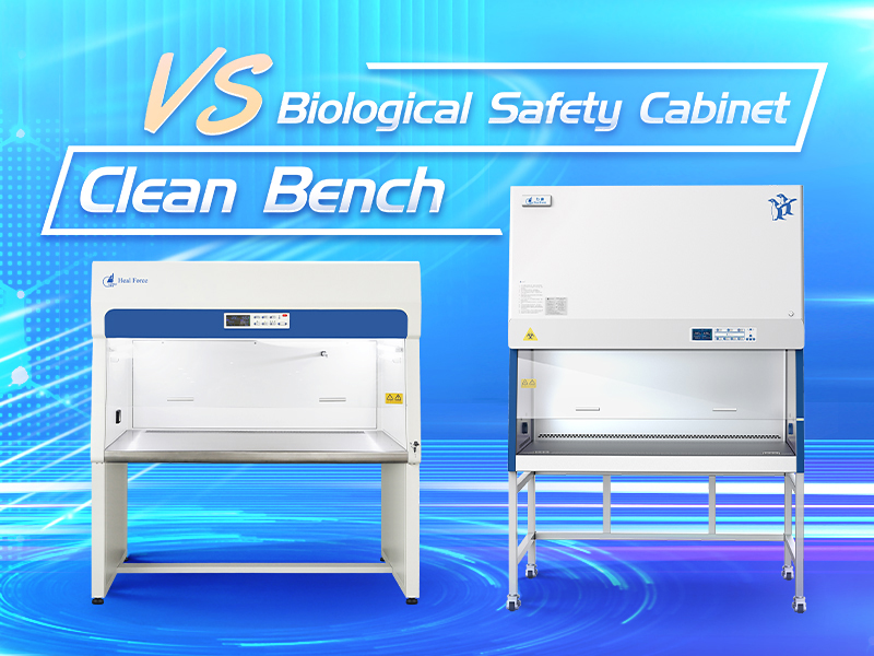 Clean Bench vs Biological Safety Cabinet